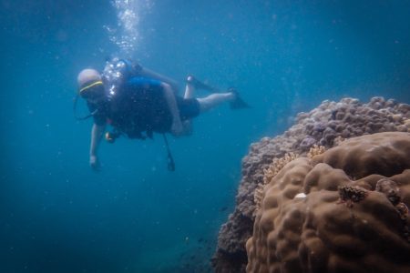 Scuba Diving Pattaya